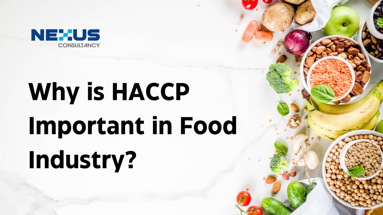 why-is-haccp-important-in-food-industry