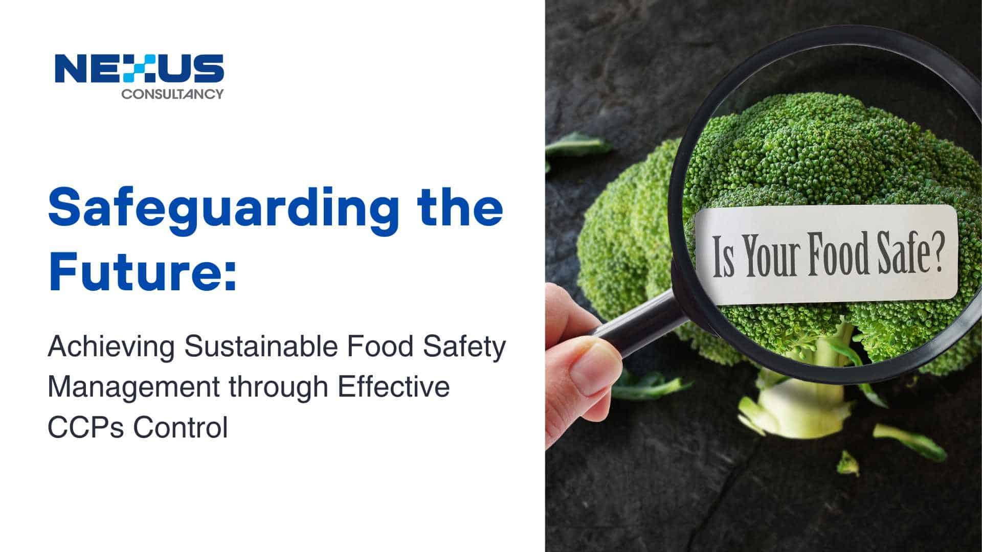 Why is HACCP Important in Food Industry?