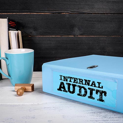 nexus consultancy background 65 internal audit box 500px