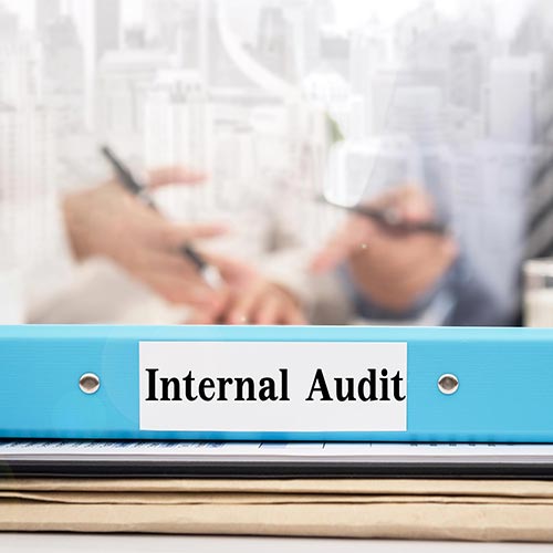 nexus consultancy background 67 internal audit box 500px