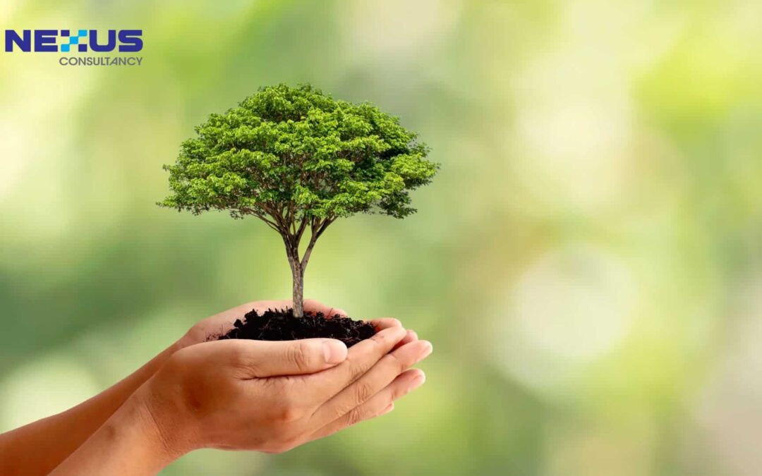 Small Steps, Big Impact: How SMEs Can Drive Environmental Sustainability within ESG Framework