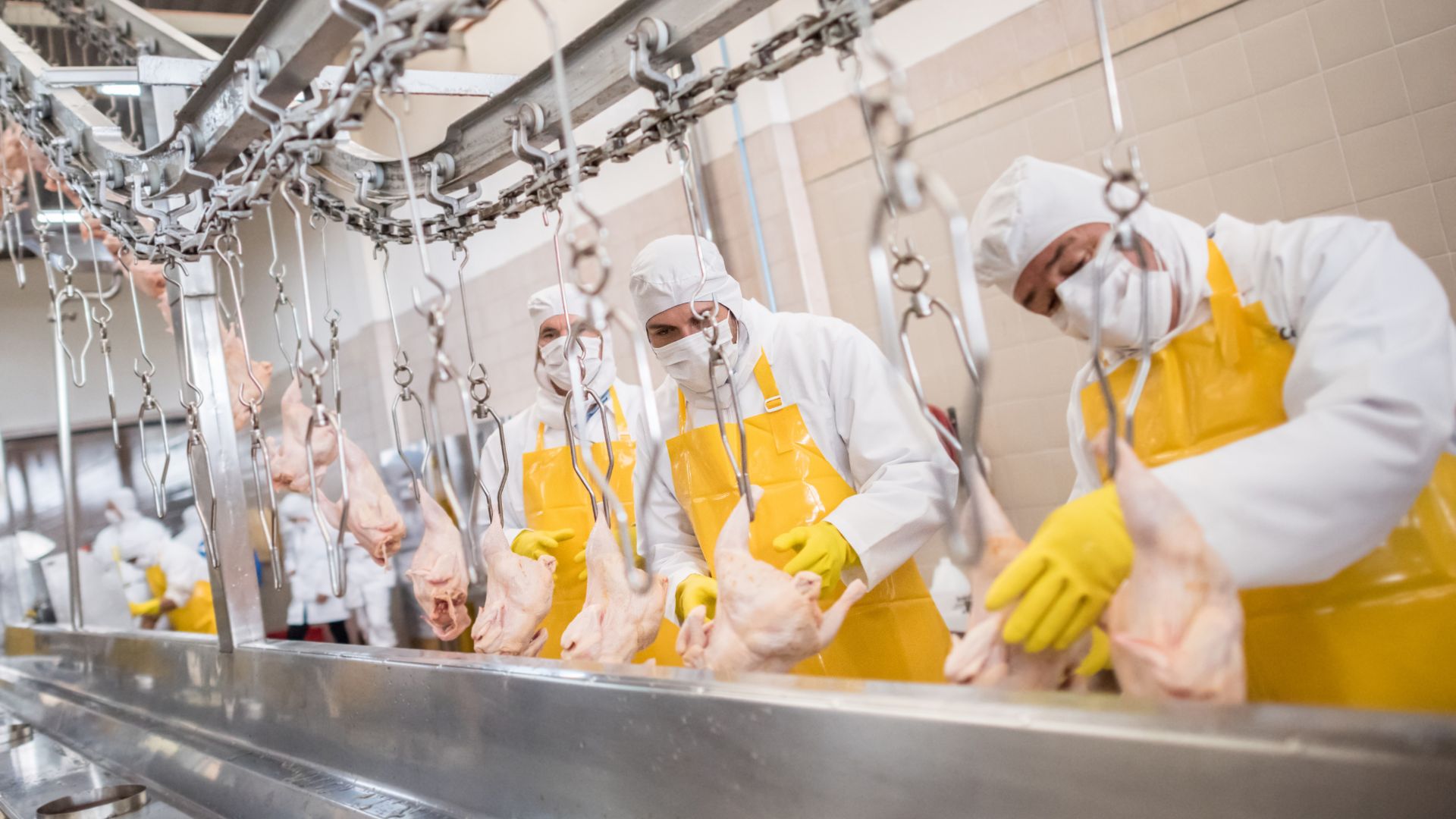5 key gmp requirements for equipment in food processing conclusion