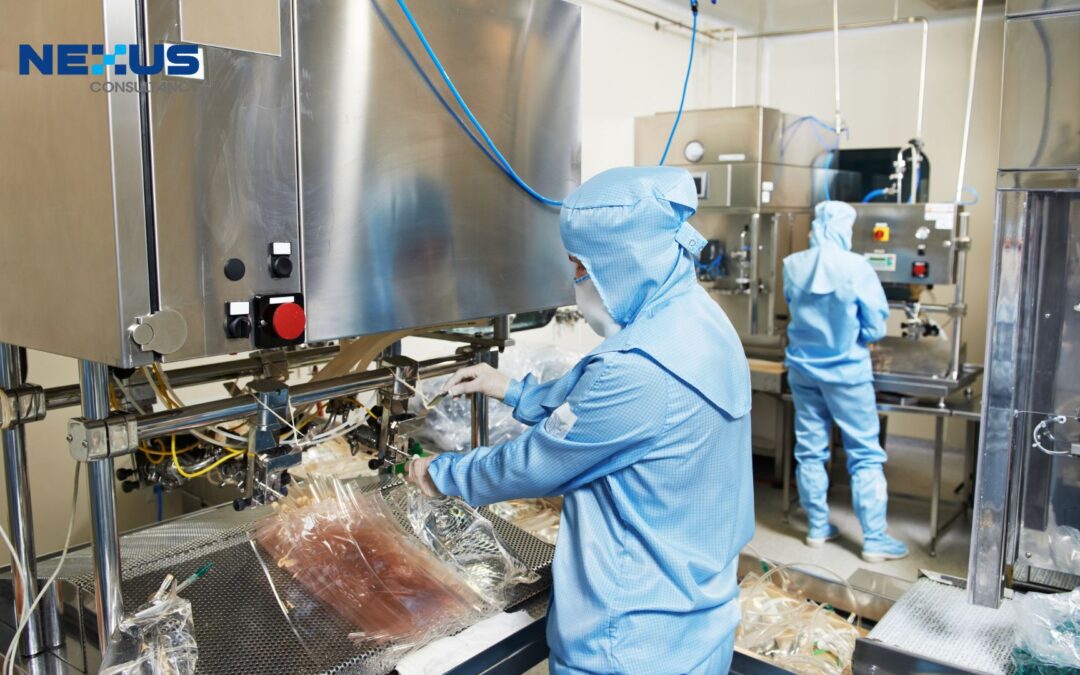 5 Key GMP Requirements for Equipment in Food Processing