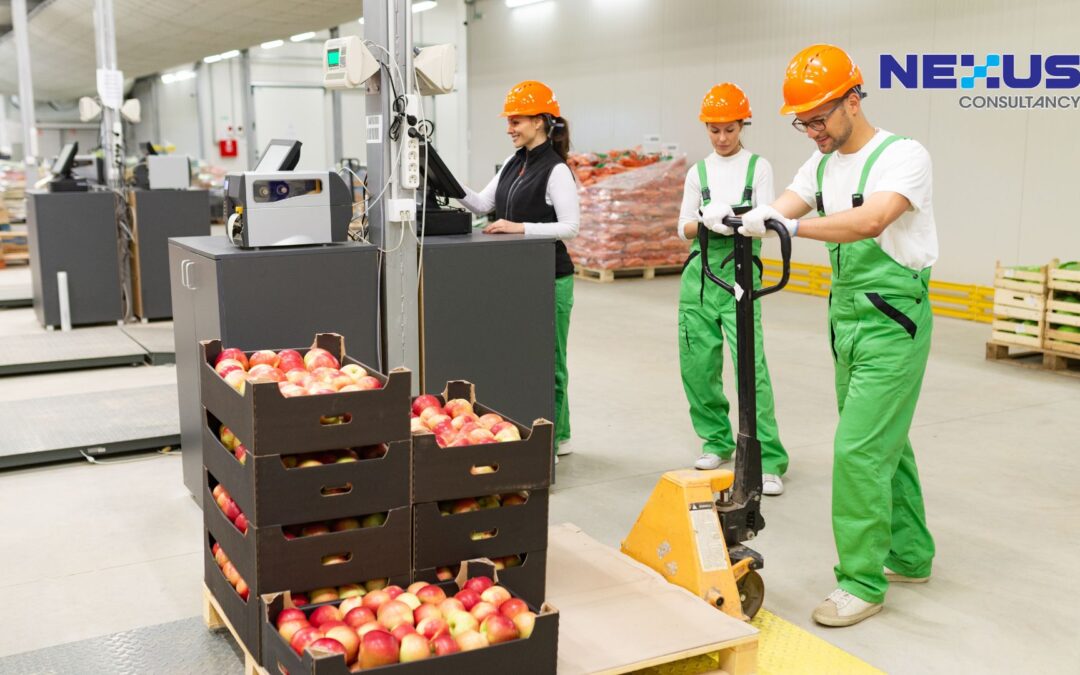 Ensuring Food Safety Through Effective Material Handling Practices