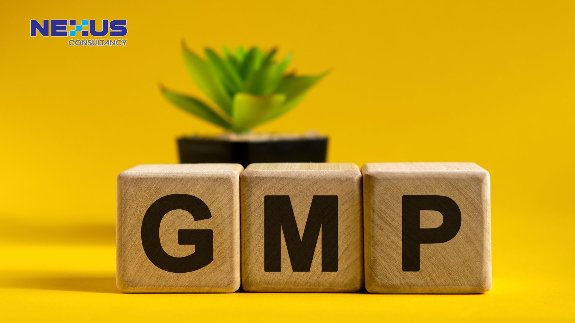 gmp design mistakes that cause contamination & solution