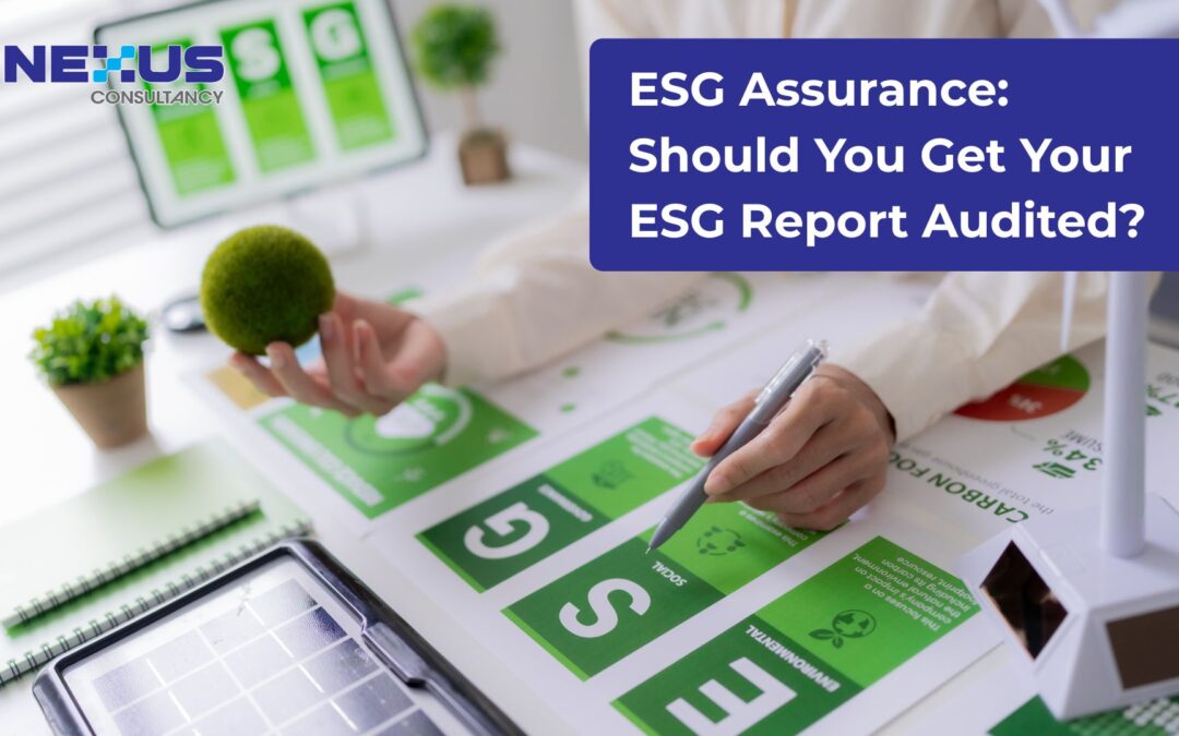 ESG Assurance: Should You Get Your ESG Report Audited?