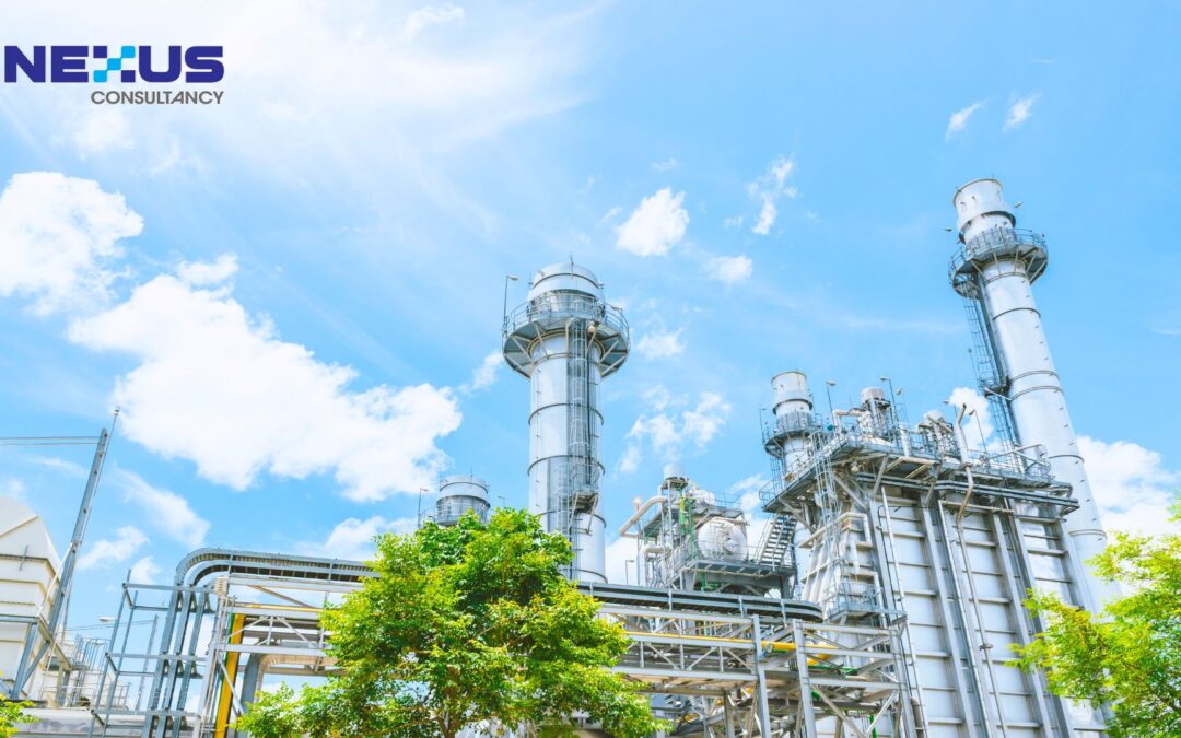 Environmental Risks That Auditors Look For (But Companies Miss)