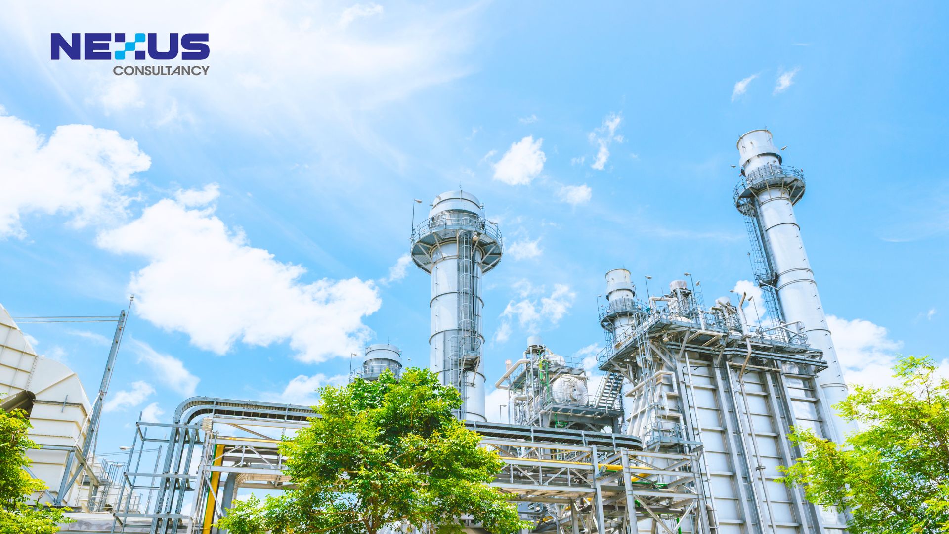 environmental risks that auditors look for (but companies miss)