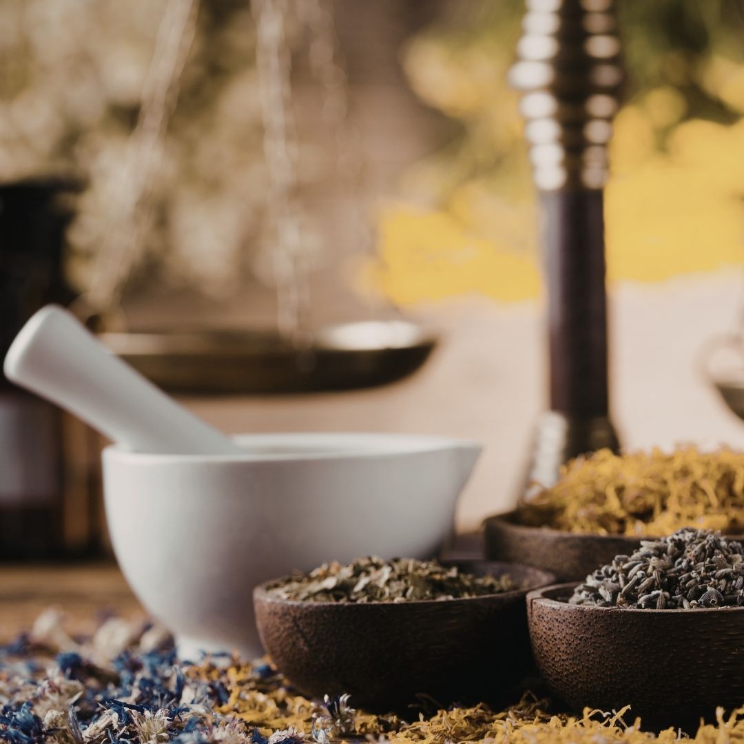 good manufacturing practices (gmp) for traditional medicines & health supplements internal audit training preview