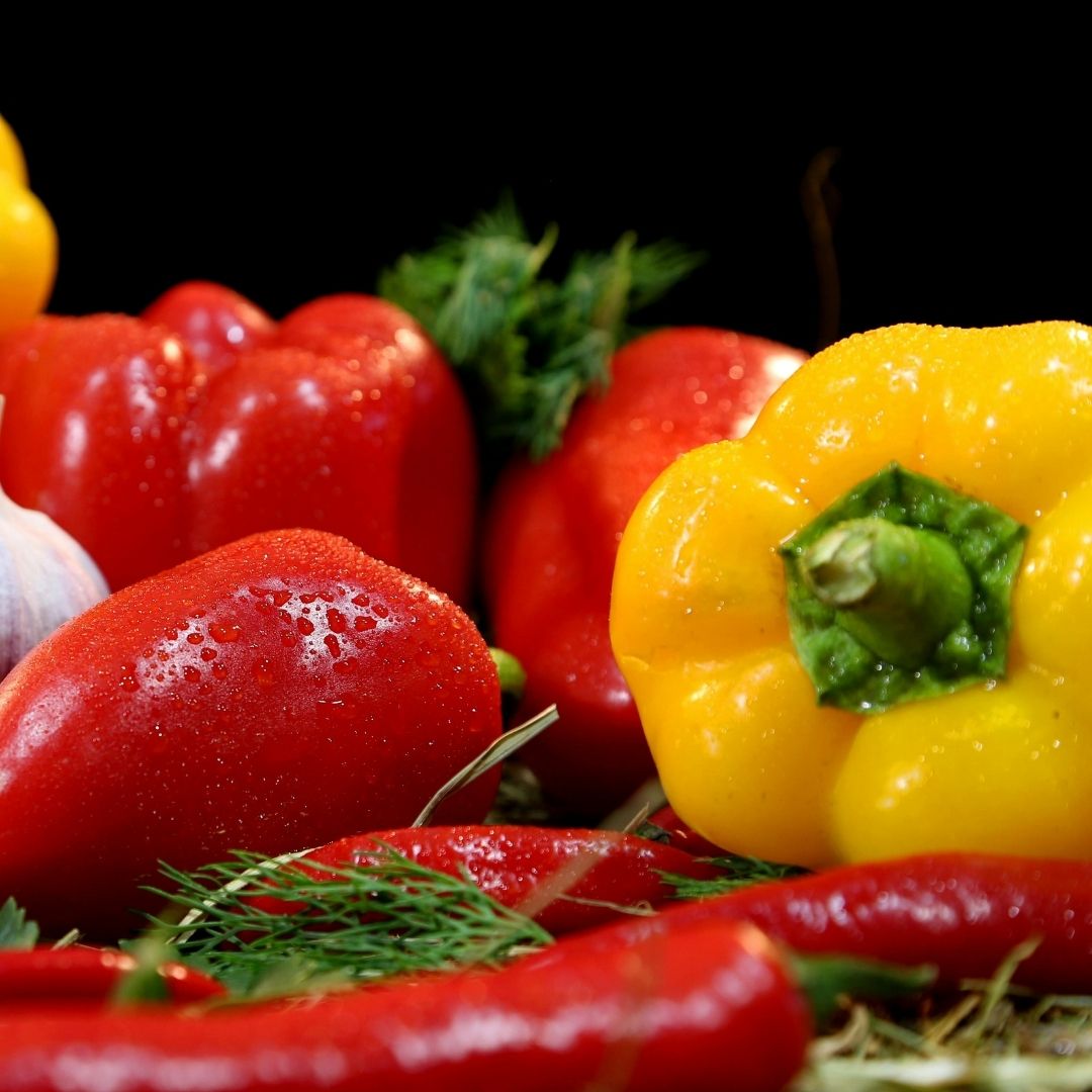 good manufacturing practices for food (gmp) awareness training preview