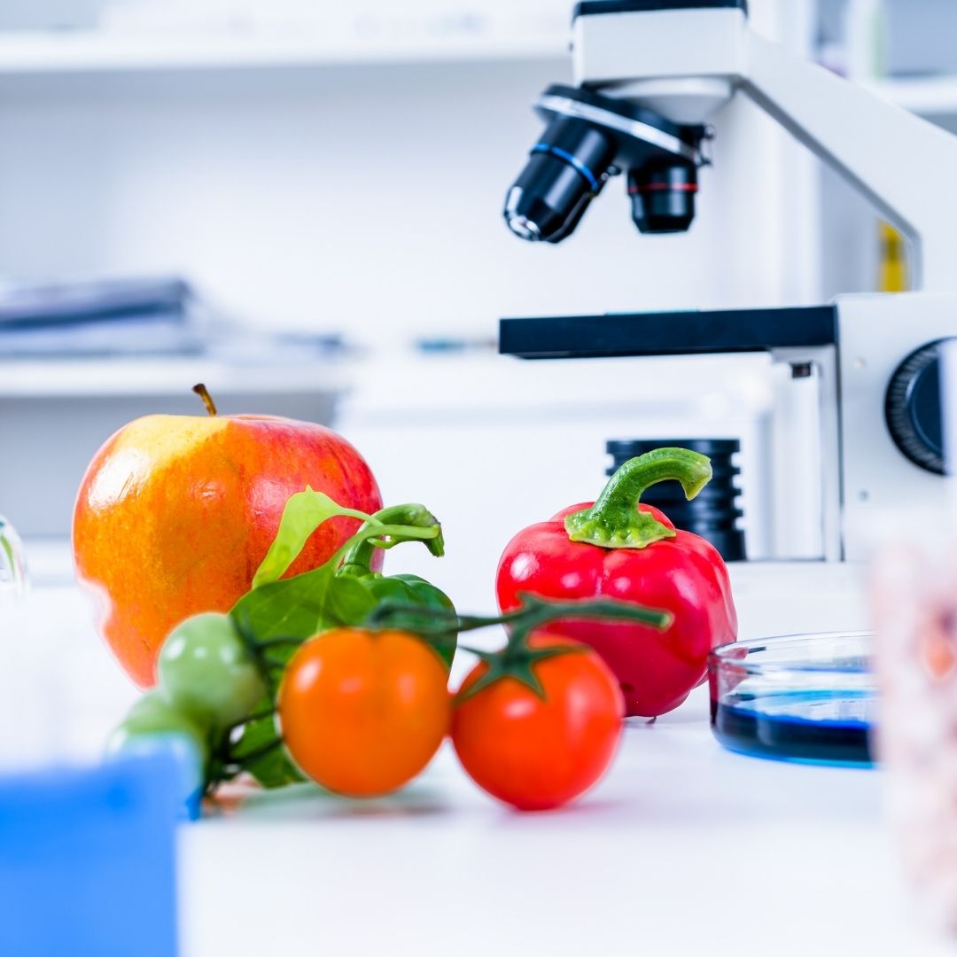 good manufacturing practices for food (gmp) internal audit training preview