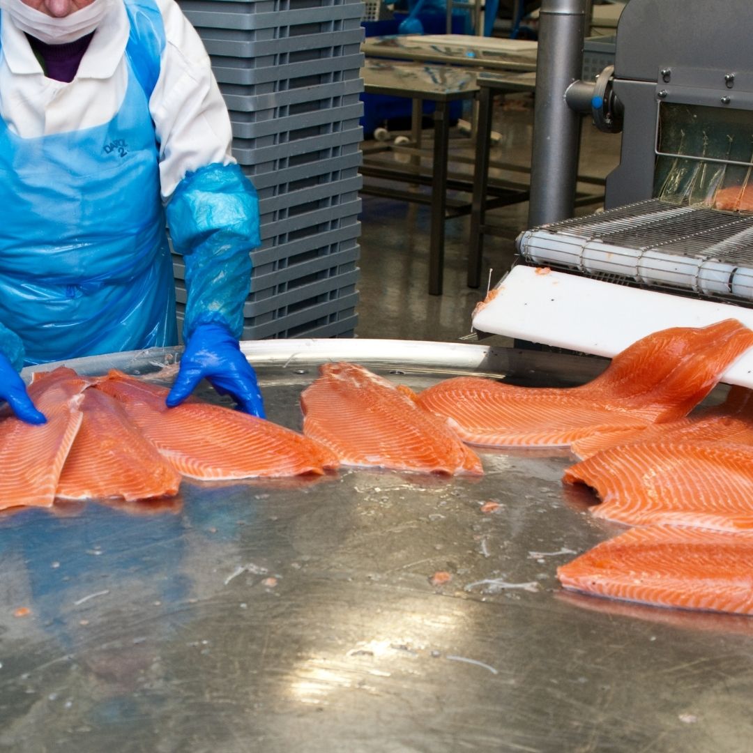 codex alimentarius haccp & ghp awareness preview