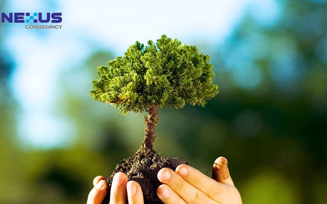 What’s New in ISO 14001:2026? A Clause-by-Clause Breakdown