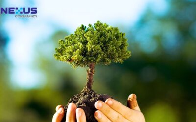 What’s New in ISO 14001:2026? A Clause-by-Clause Breakdown