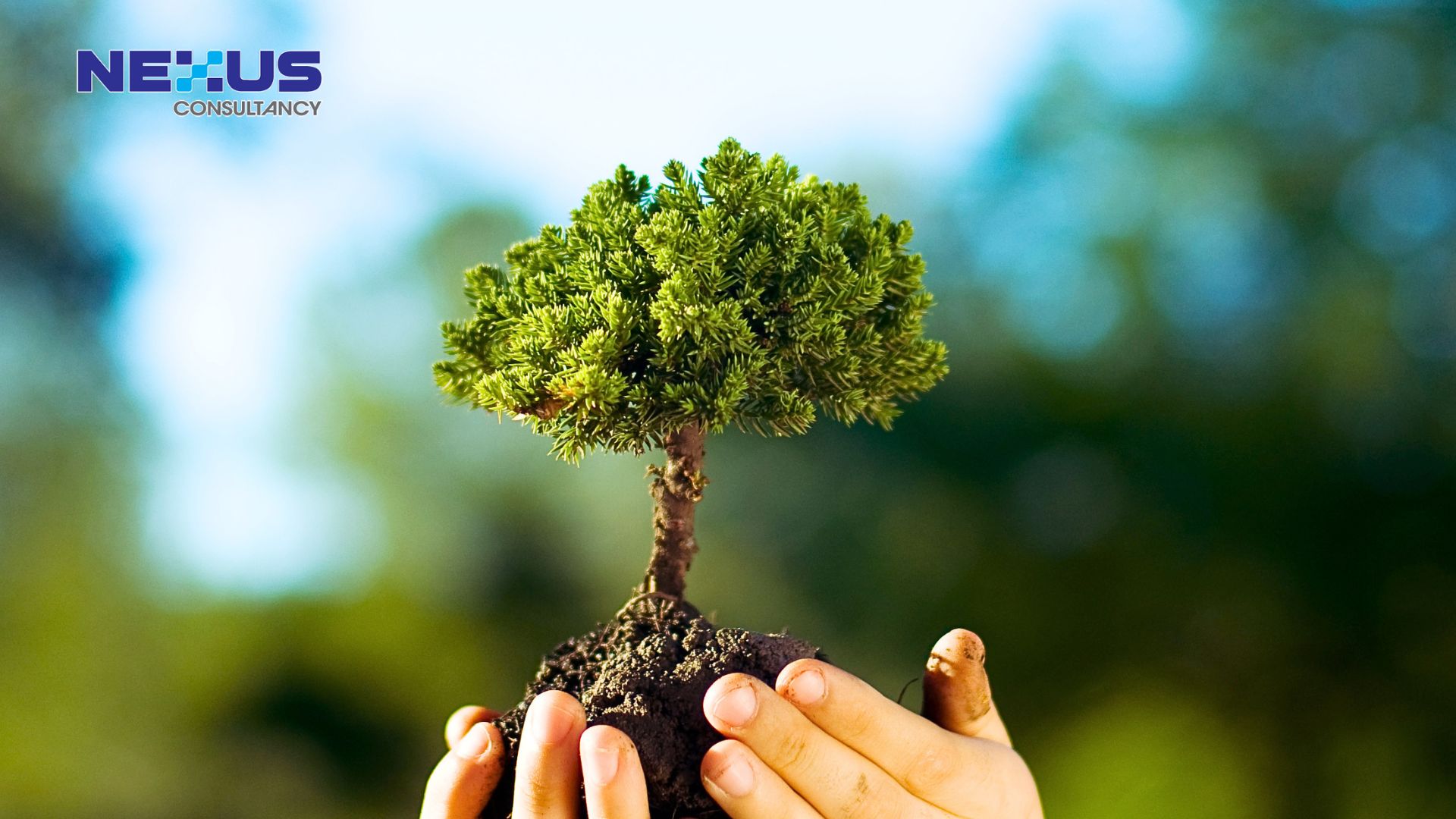 What’s New in ISO 14001:2026? A Clause-by-Clause Breakdown