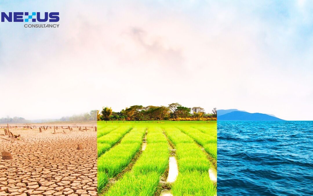 Environmental Conditions, Climate & Biodiversity: New Focus in ISO 14001:2026