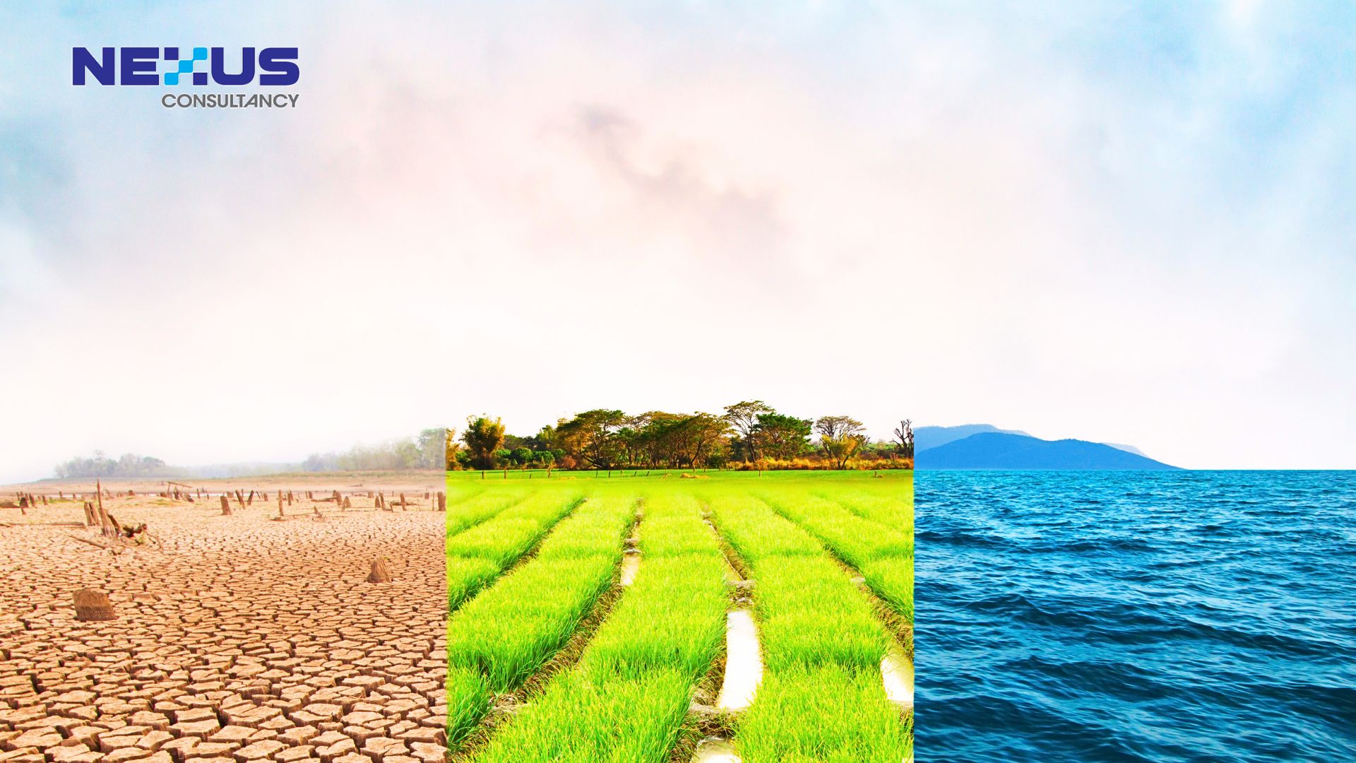 Environmental Conditions, Climate & Biodiversity: New Focus in ISO 14001:2026