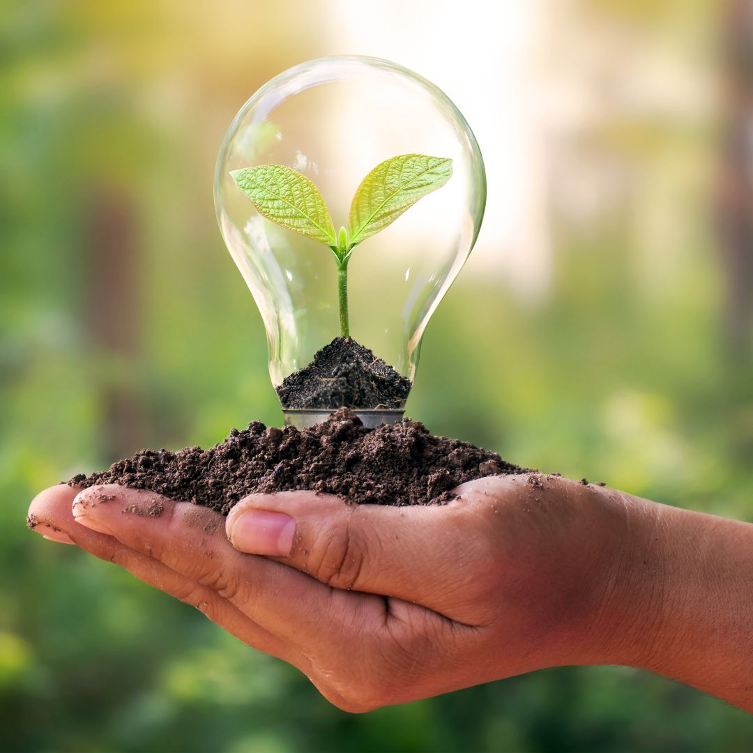 environmental management system transition training preview