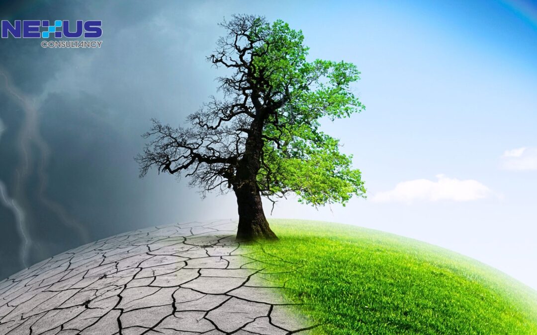 Climate Change Is No Longer Optional: What ISO 14001:2026 Requires