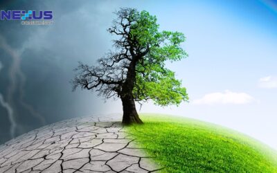 Climate Change Is No Longer Optional: What ISO 14001:2026 Requires