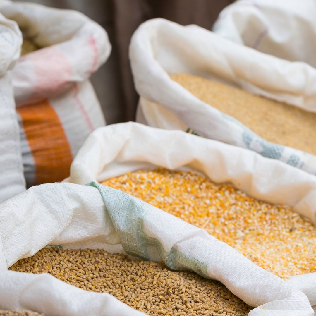FAMI QS Quality And Safety System For Specialty Feed Ingredients Awareness Preview