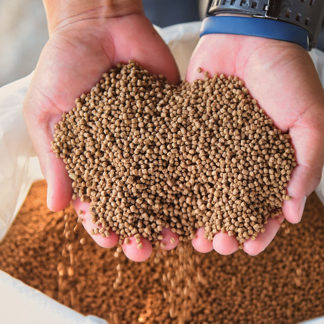 FAMI QS Quality And Safety System For Specialty Feed Ingredients Internal Audit Preview