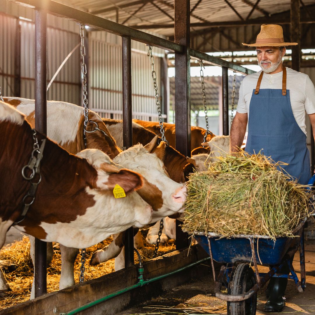 GMP+FSA Feed Safety Assurance Awareness Preview