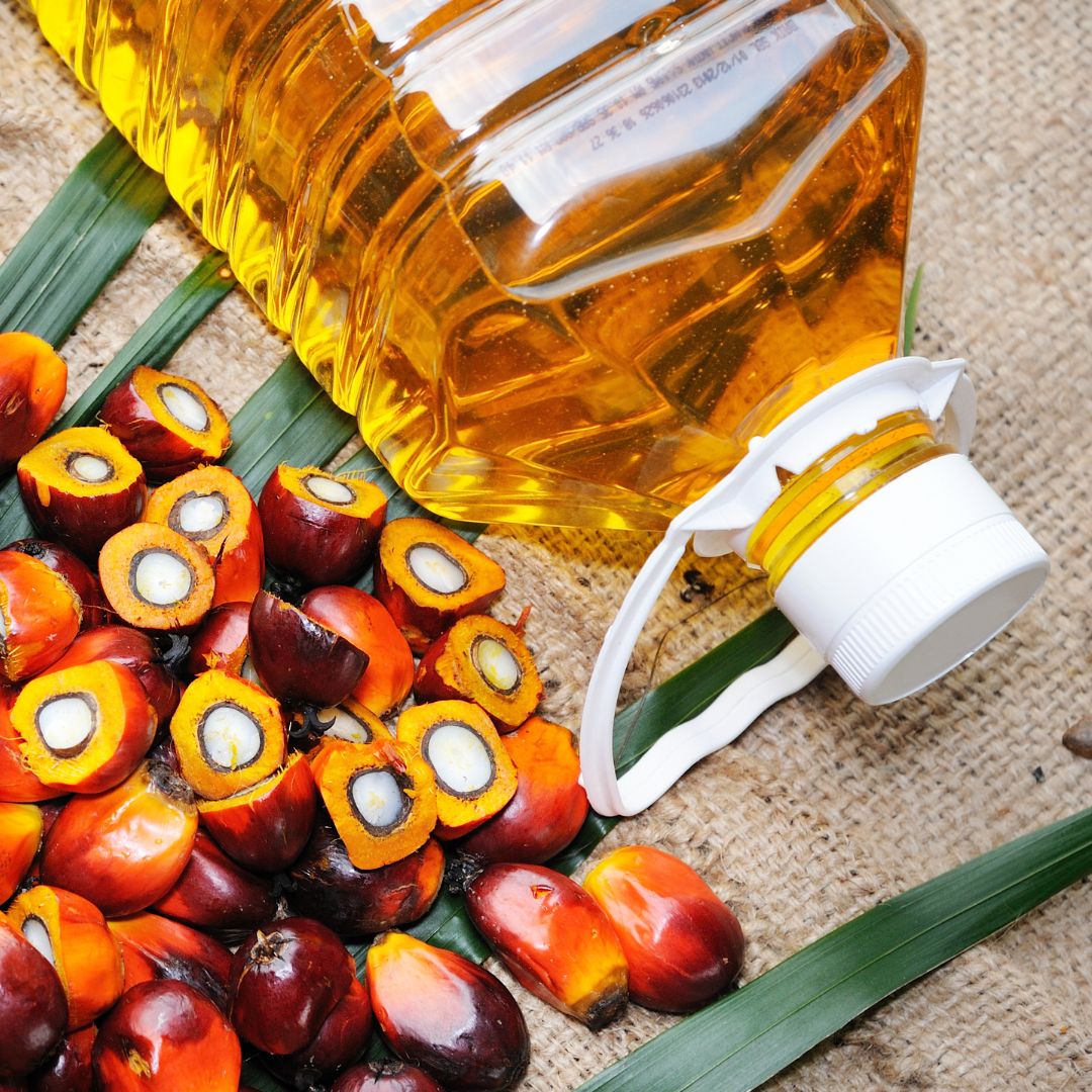 Malaysia Sustainable Palm Oil Internal Audit Preview