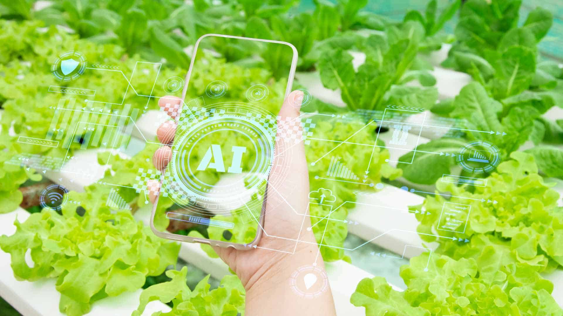 5 Key Steps in Developing a Food Traceability System 04 5 Key Steps In Developing A Food Traceability System 04