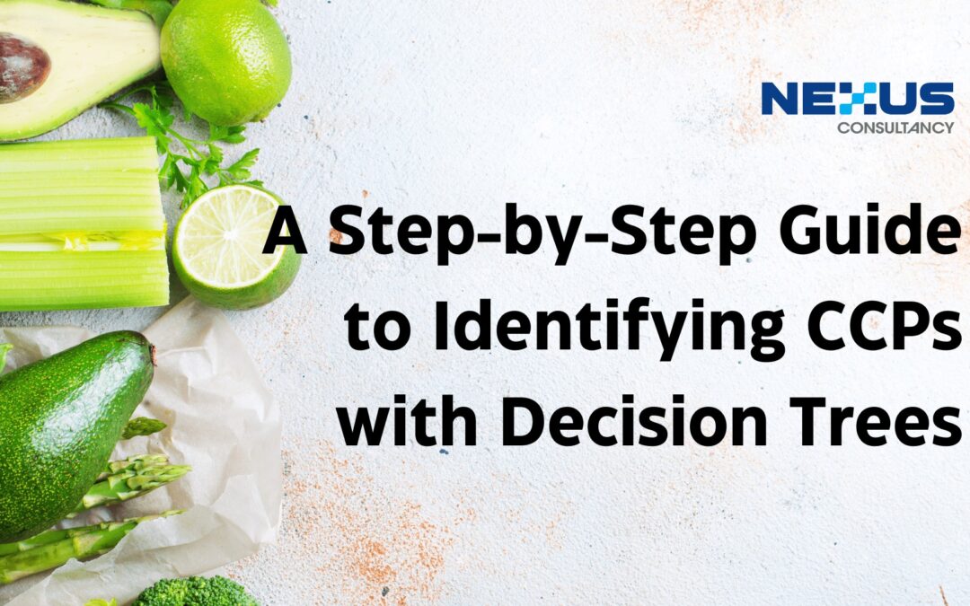 A Step-by-Step Guide to Identifying CCPs with Decision Trees