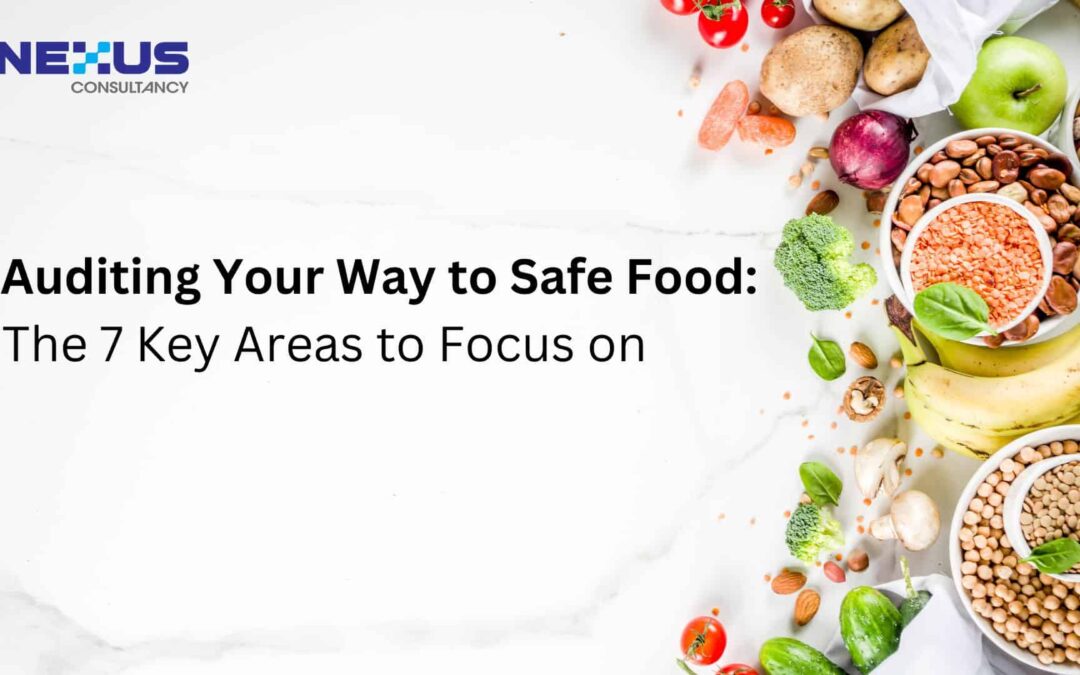 Auditing Your Way to Safe Food: The 7 Key Areas to Focus on