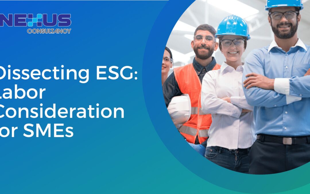 Dissecting ESG: Labor Consideration for SMEs