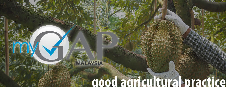 Exporting Fruits To China- What You Need To Know 02