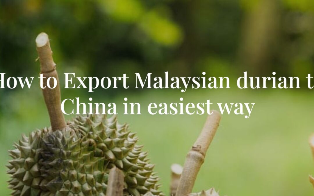 Exporting Malaysia Durian to China: What you need to know