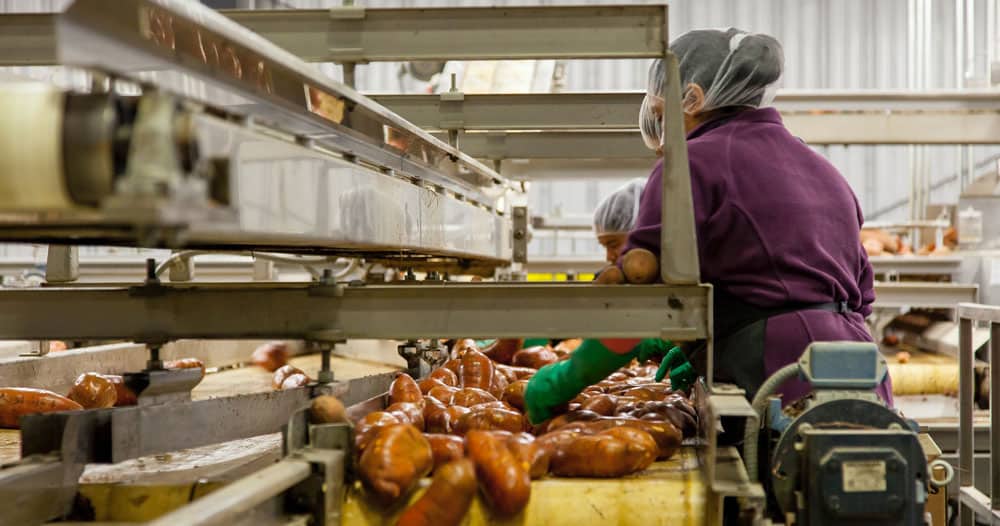 Good Manufacturing Practices for Food