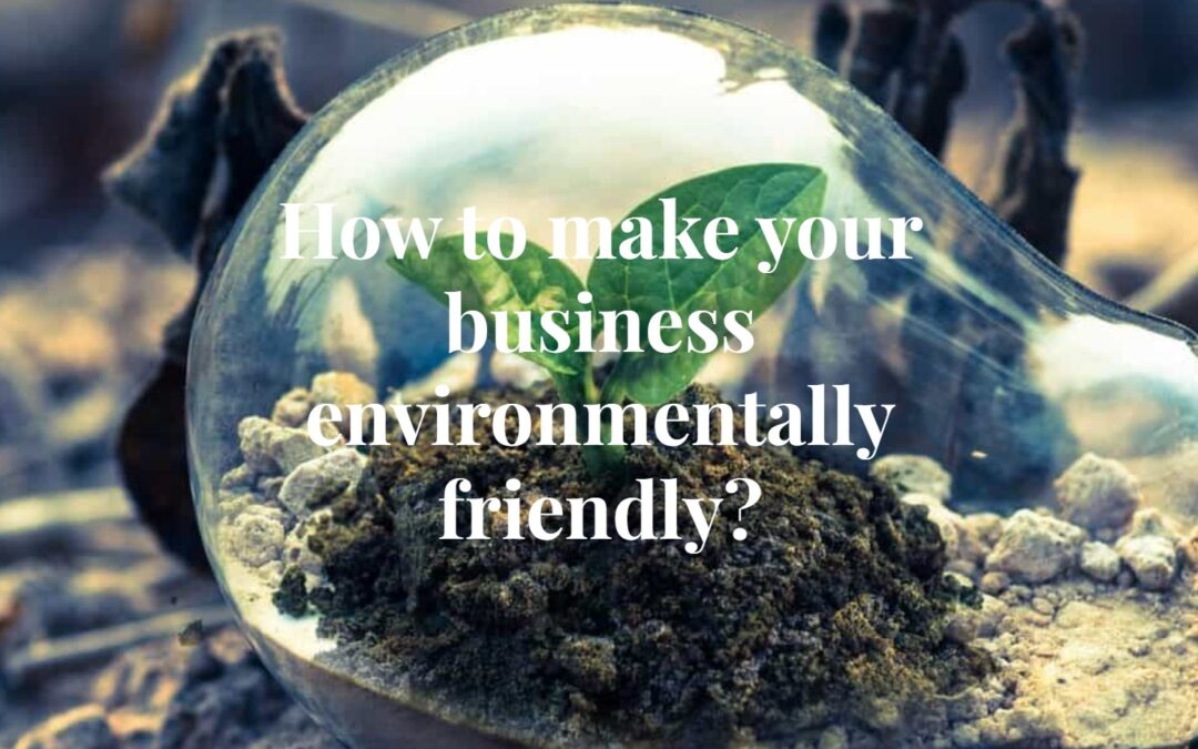 How to make your business environmentally friendly?