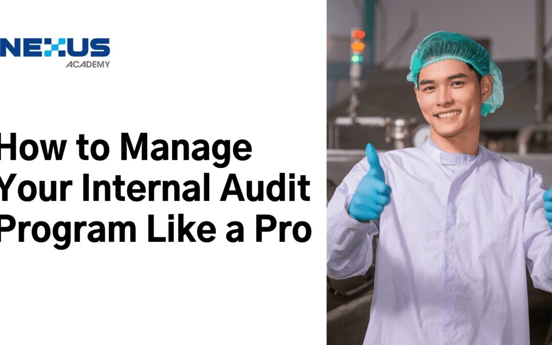 How to Manage Your Internal Audit Program Like a Pro