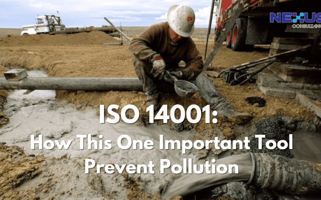 ISO 14001: How This One Important Tool Prevent Pollution