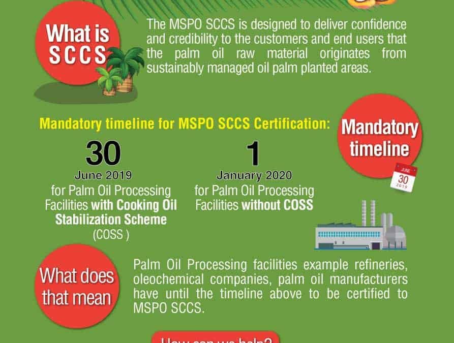 Latest announcement! Mandatory timeline for implementation of MSPO Supply Chain Certification Standard (SCCS).