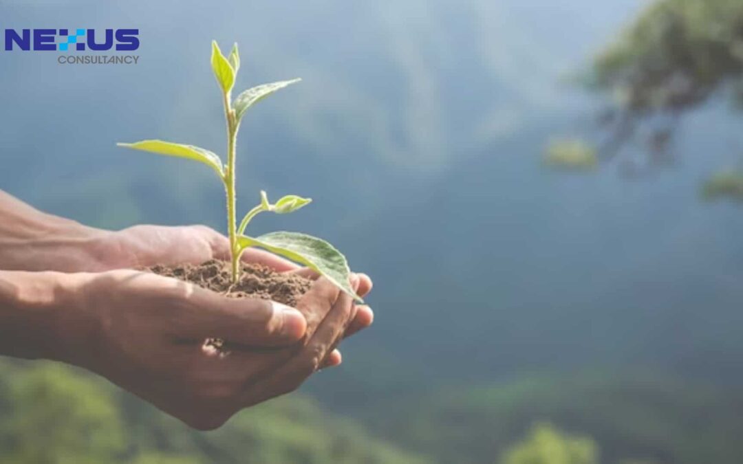 Striking a Balance: Navigating ESG Principles in Startup Realities