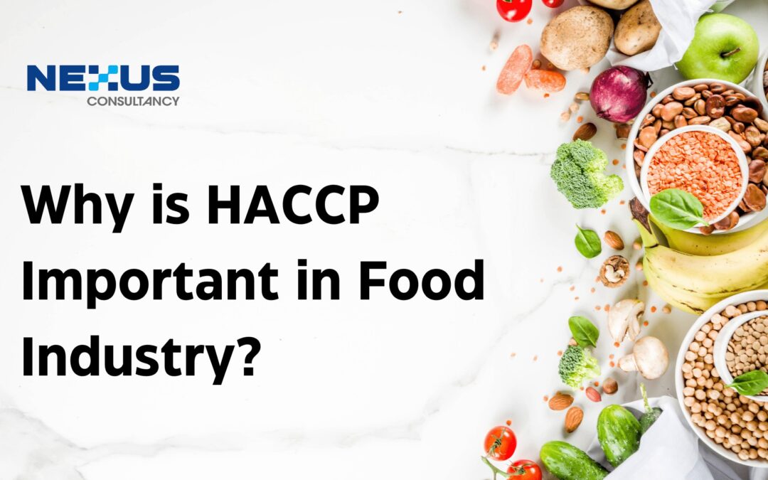 Why is HACCP Important in Food Industry?