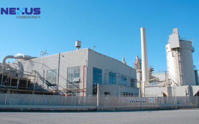 Beyond Compliance: How Environmental Action Can Reduce Costs and Create Business Value