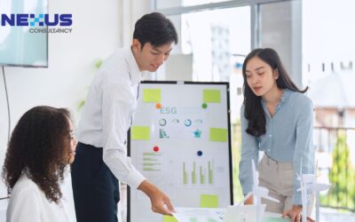 Which Environmental Actions Should Your Business Prioritise First?